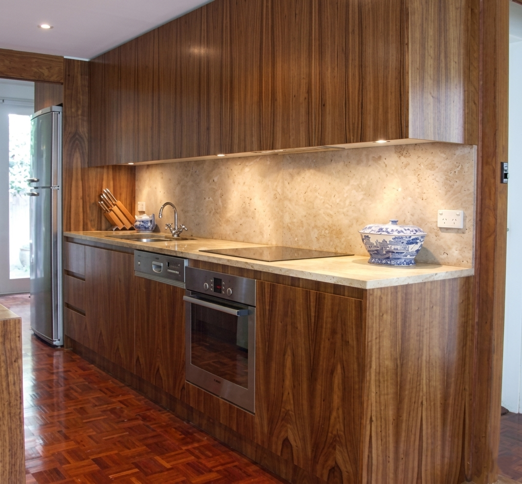 contemporary kitchen 1